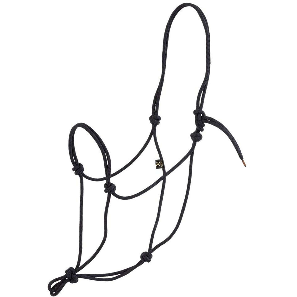 BR Licol en Corde carbone