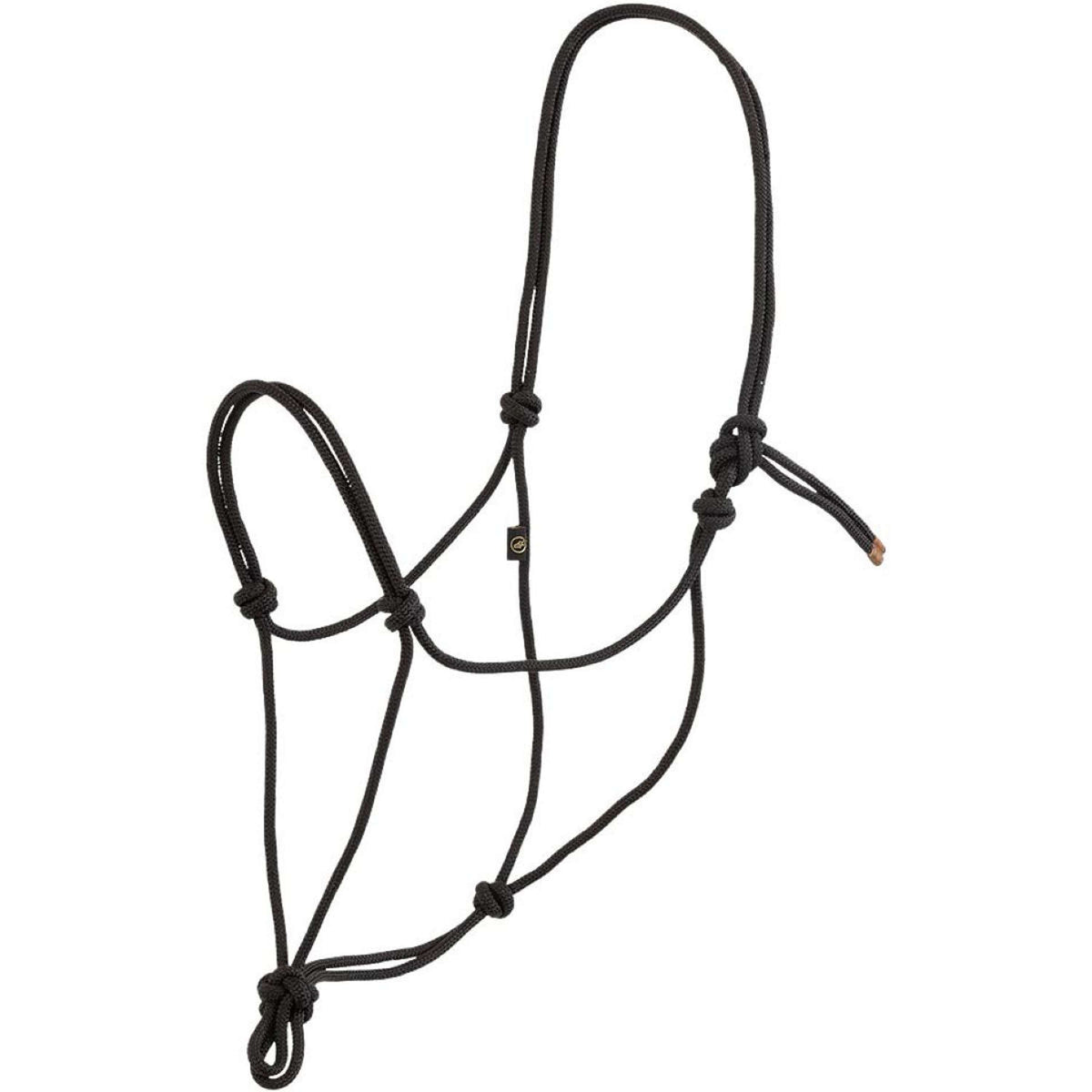 BR Licol en Corde Meteorite