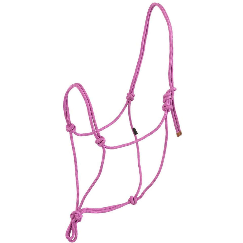 BR Licol en Corde Striking Purple