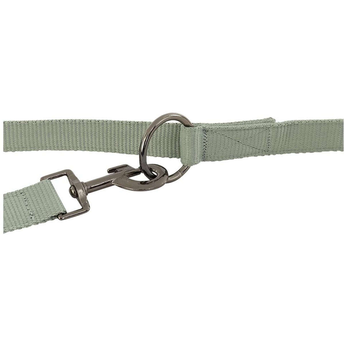 BR Laisse pour Chien II Slate Gris