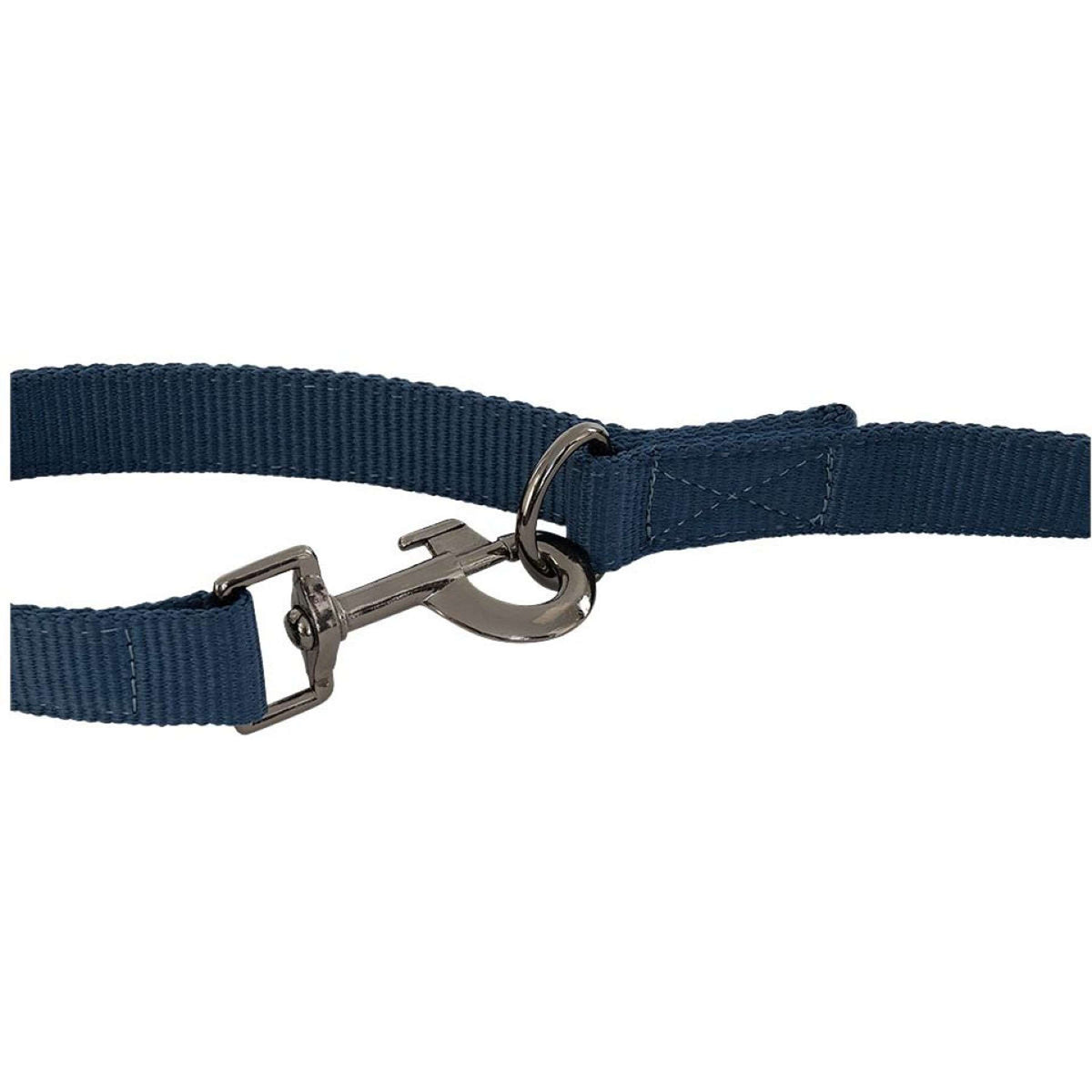 BR Laisse pour Chien II Big Dipper