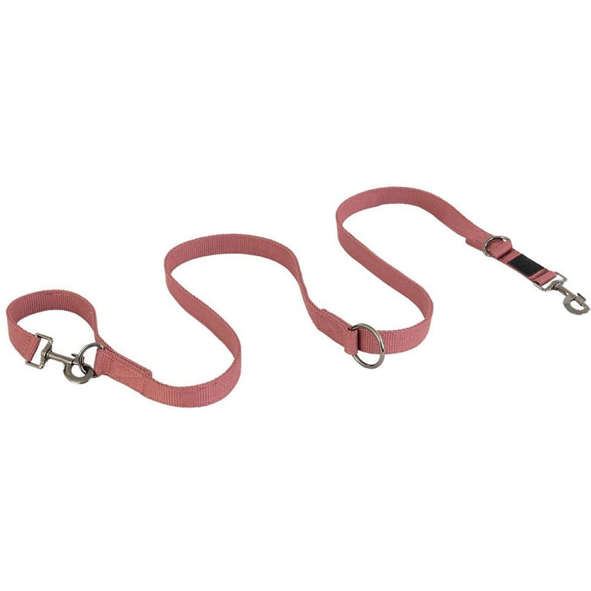 BR Laisse pour Chien II Roan Rouge