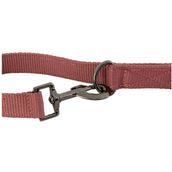 BR Laisse pour Chien II Roan Rouge