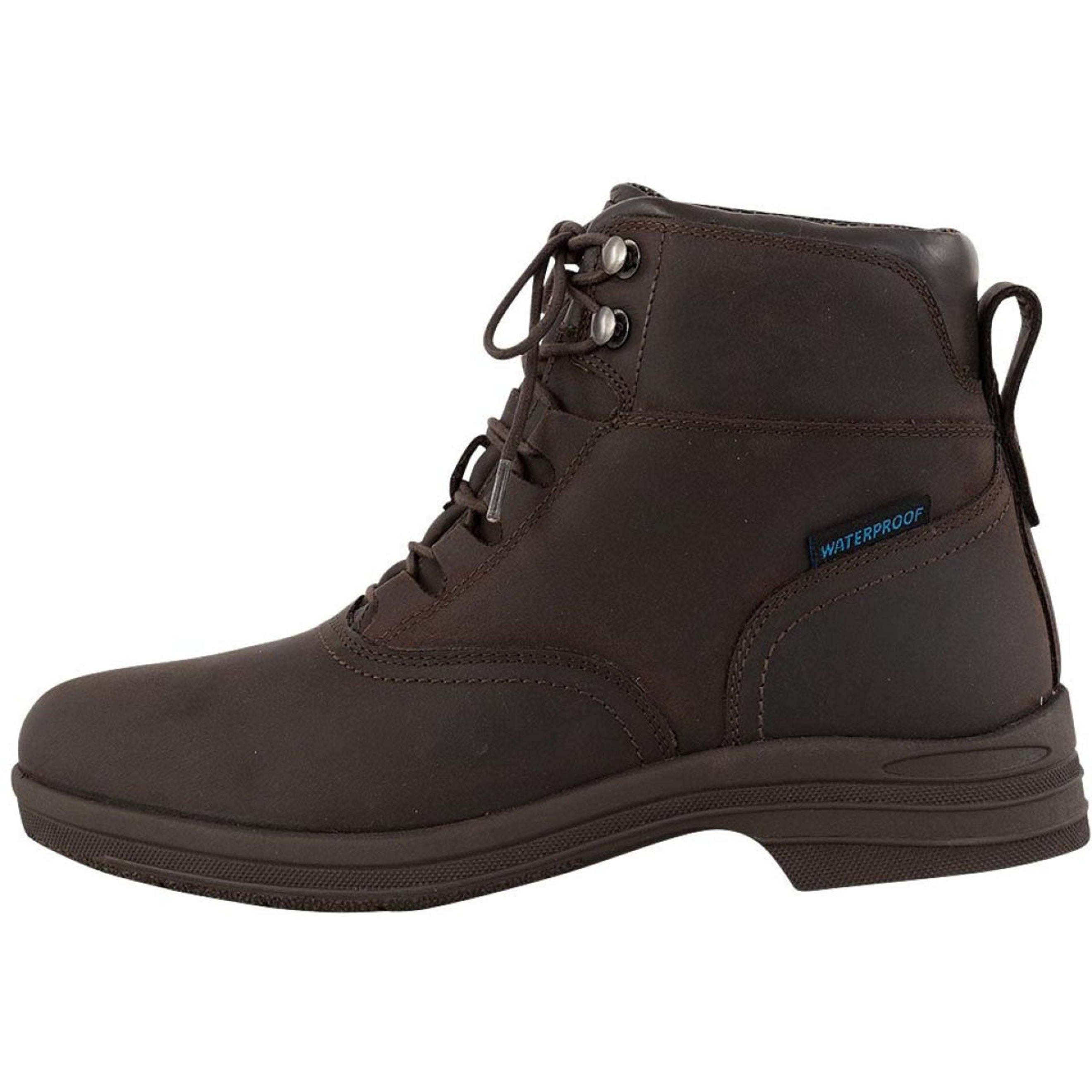 BR Chaussures d'Écurie Audace Waterproof Marron
