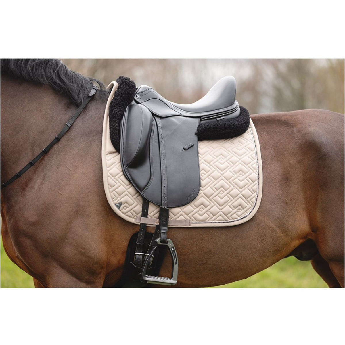 ANKY Tapis de Selle Professional XB25001 3C Moon Rock