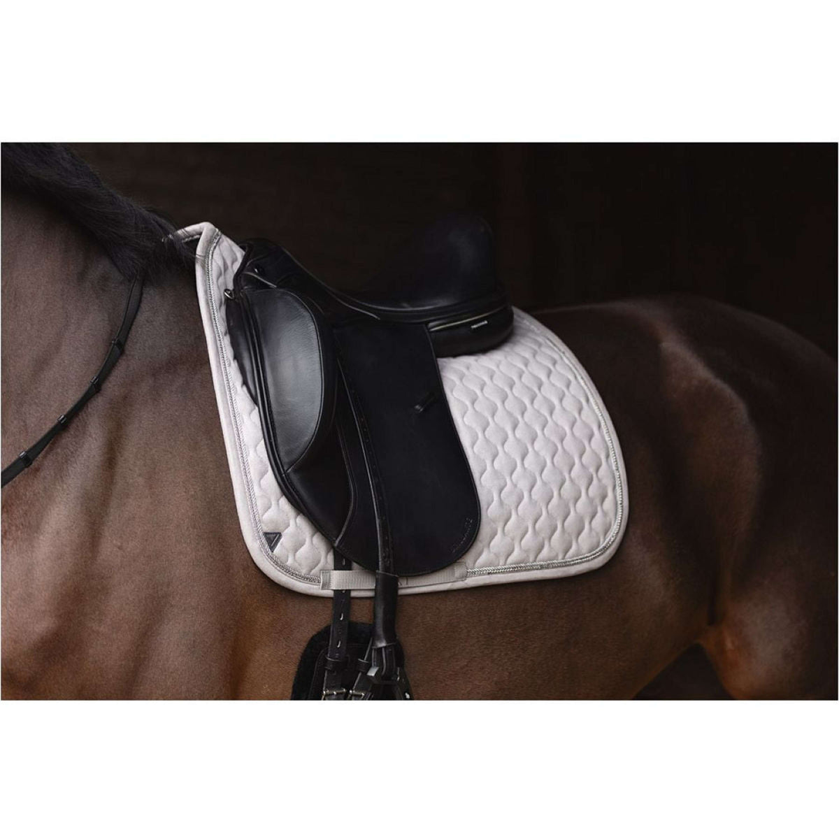 ANKY Tapis de Selle XB25002 Brouillard Gris