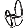 ANKY Licol Victory ATH25001 Noir