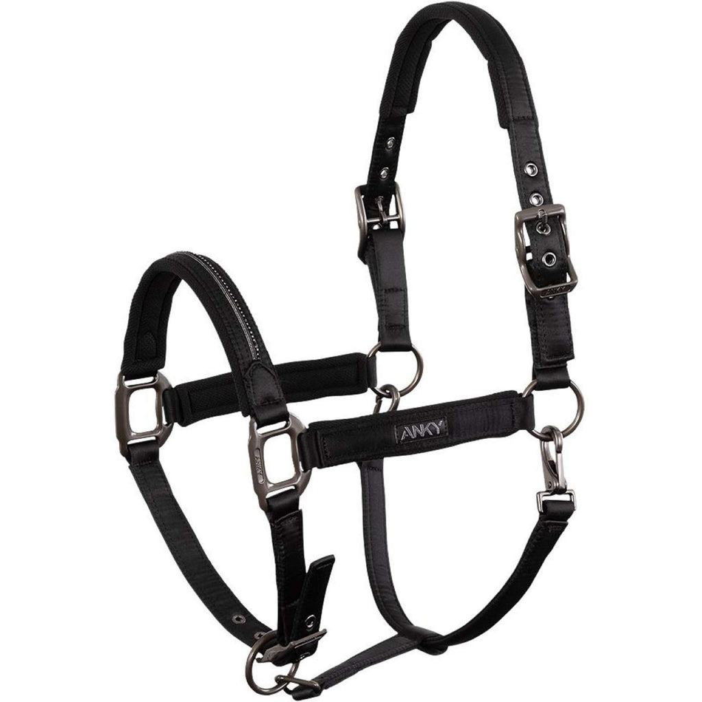 ANKY Licol Victory ATH25001 Noir