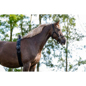 Birth Alarm Premium Complete