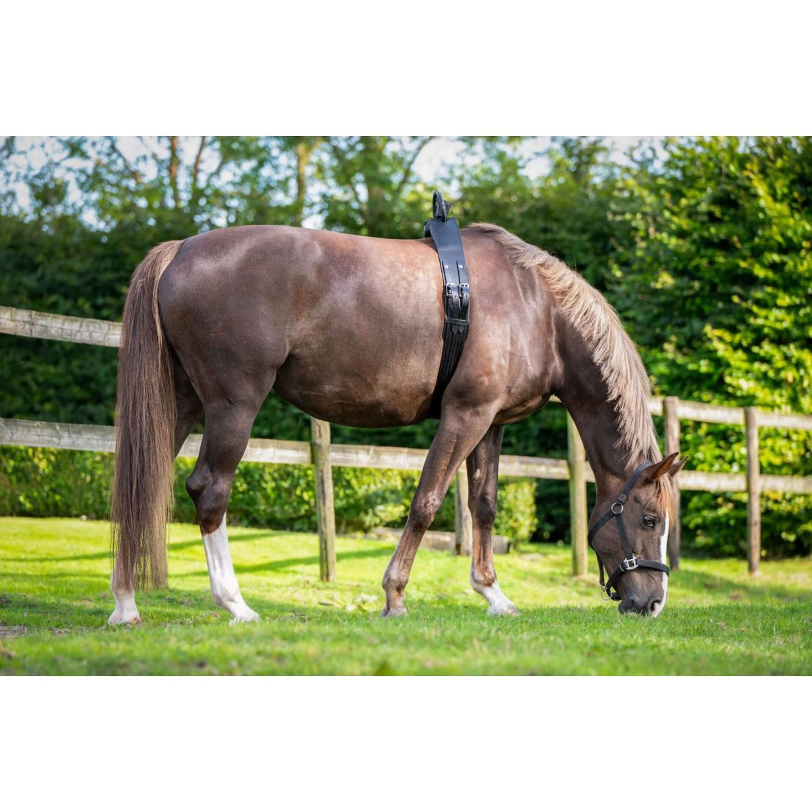 Birth Alarm Premium Complete Birth Alarm Premium Complete