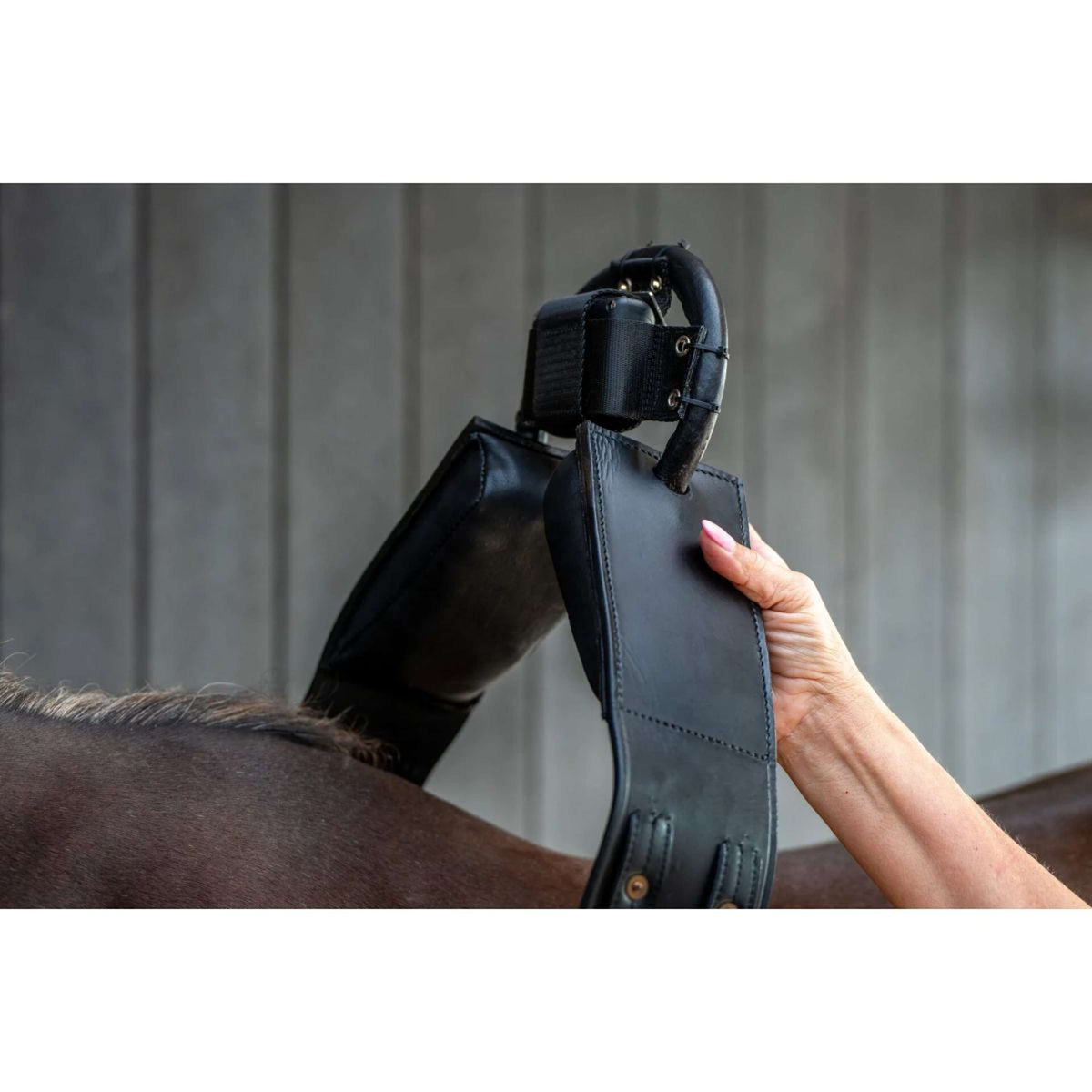 Birth Alarm Surfaix Complet Avec Sangle Standard