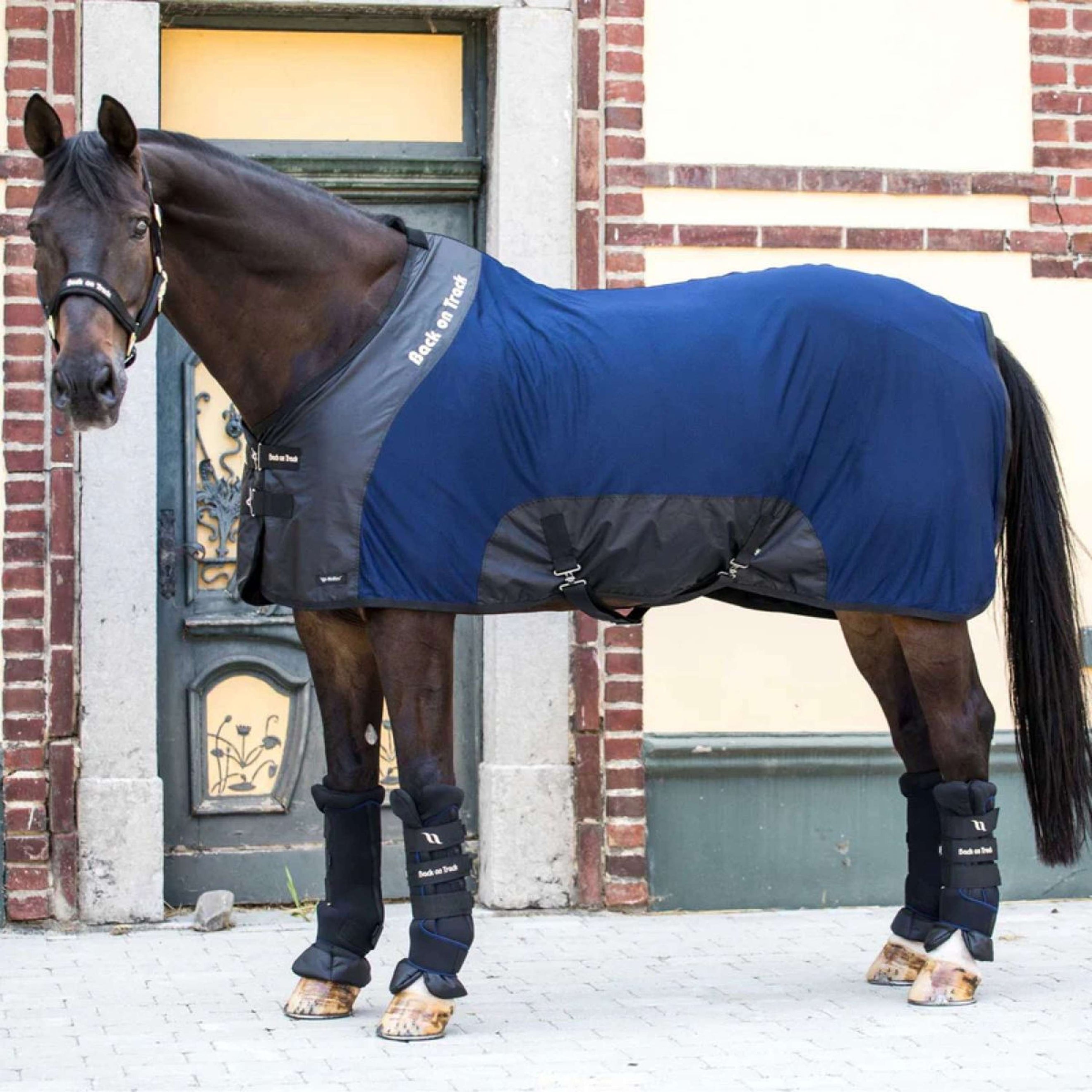 Back on Track Couverture à Mailles Royal Deluxe Bleu Back on Track Couverture à Mailles Royal Deluxe Bleu