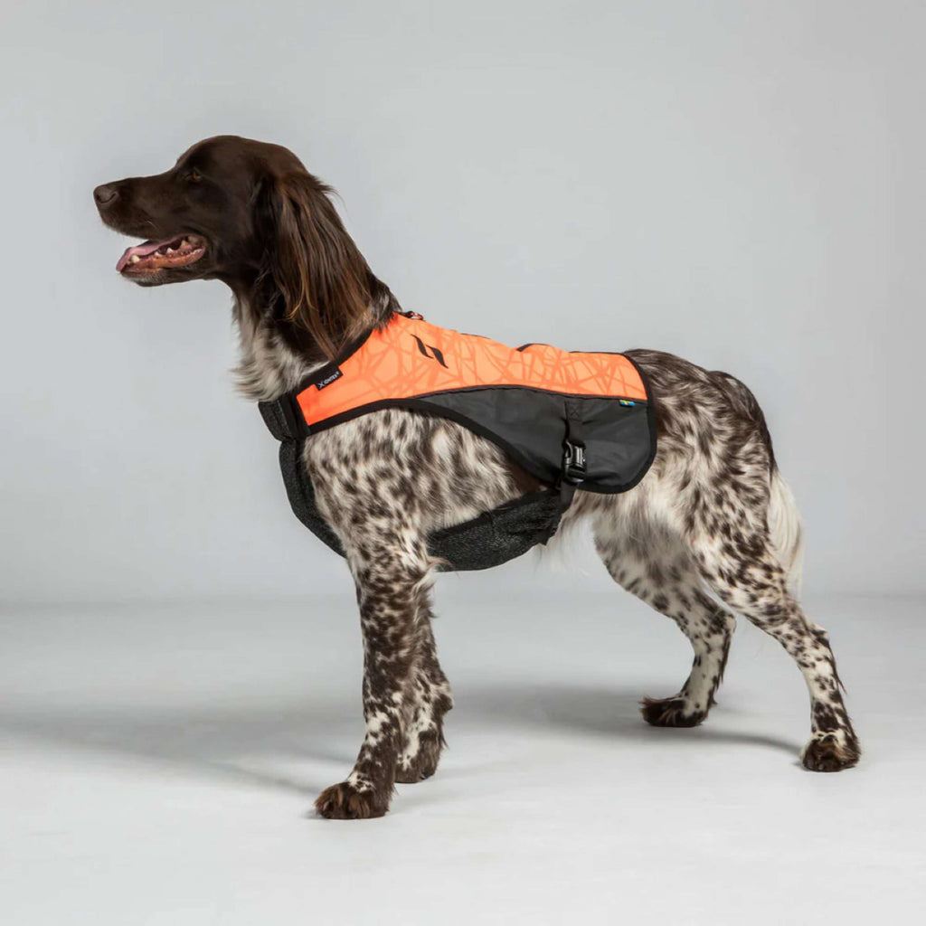 Back on Track Veste pour Chien TRAKK Réfléchissant Orange