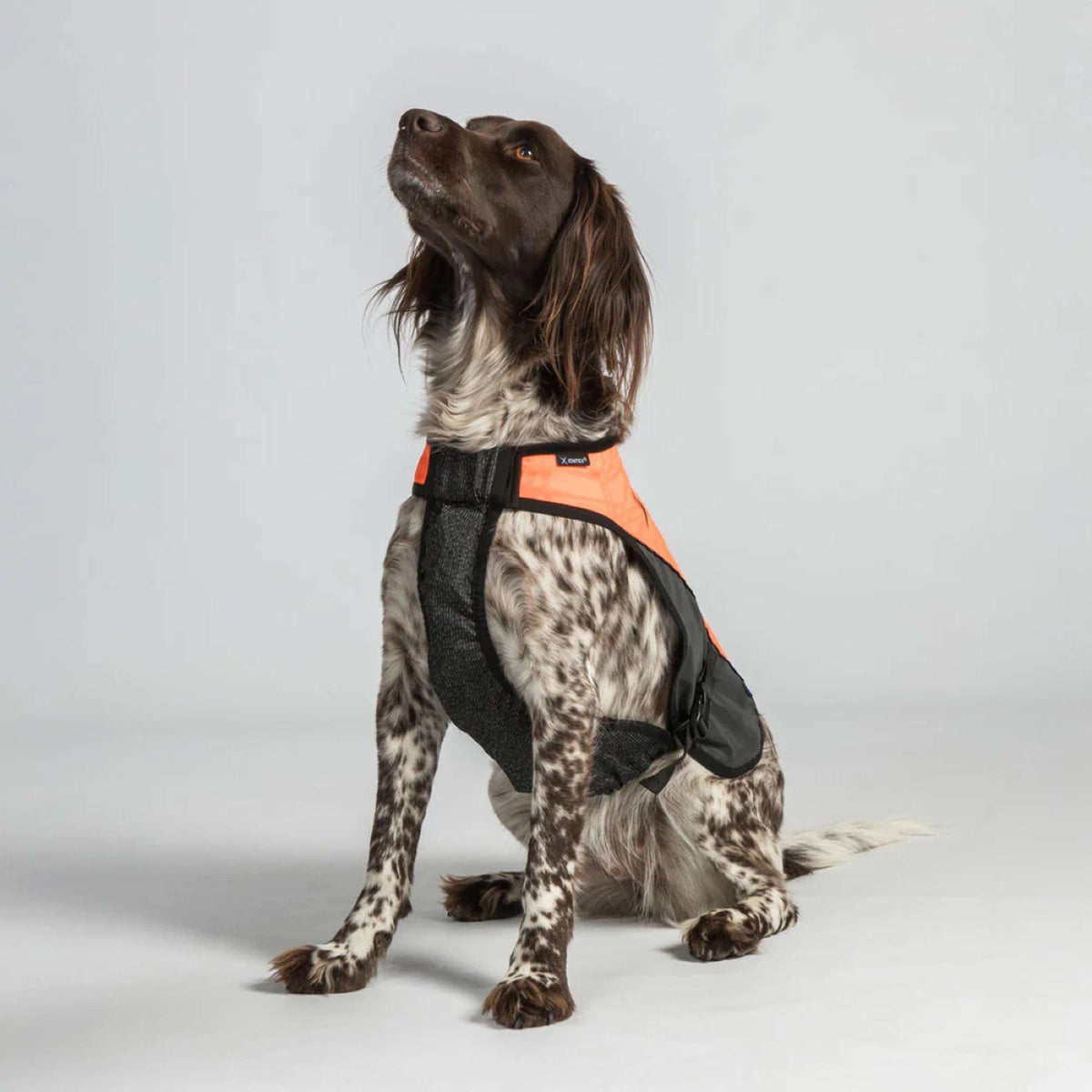 Back on Track Veste pour Chien TRAKK Réfléchissant Orange