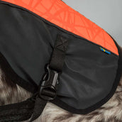 Back on Track Veste pour Chien TRAKK Réfléchissant Orange