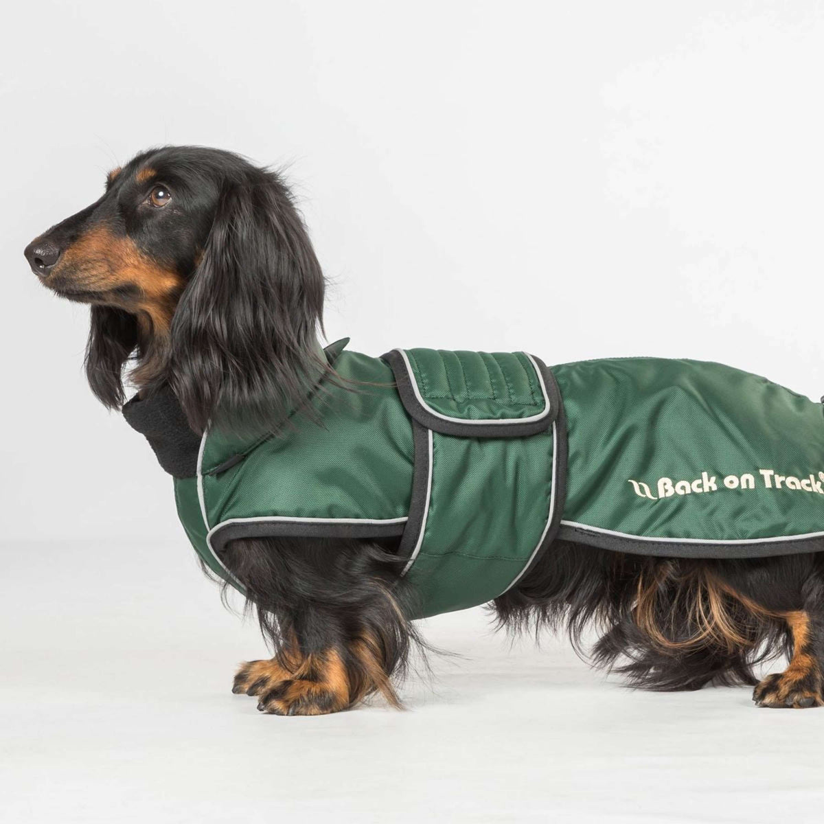 Back on Track Veste pour Chien Buddy Vert