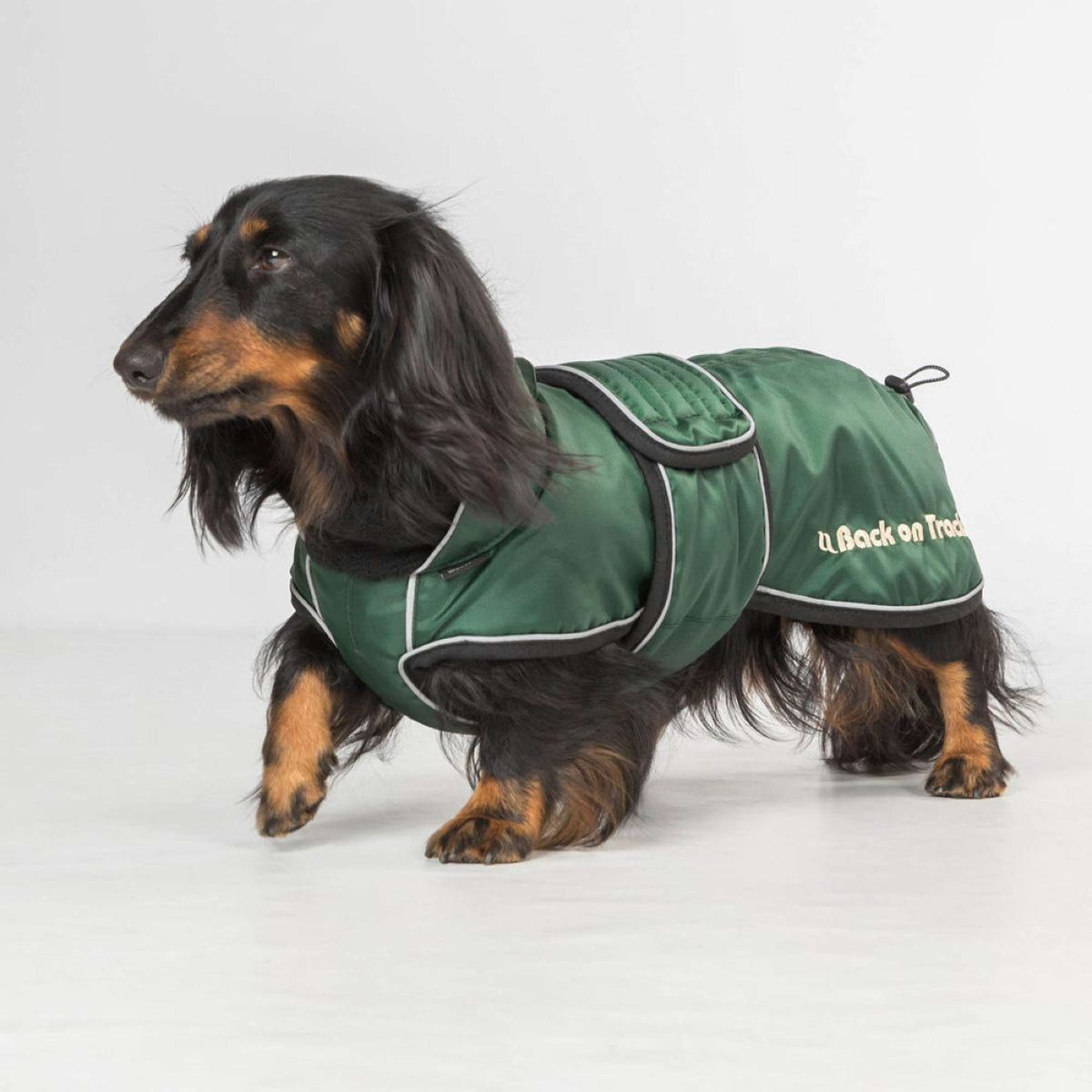 Back on Track Veste pour Chien Buddy Vert