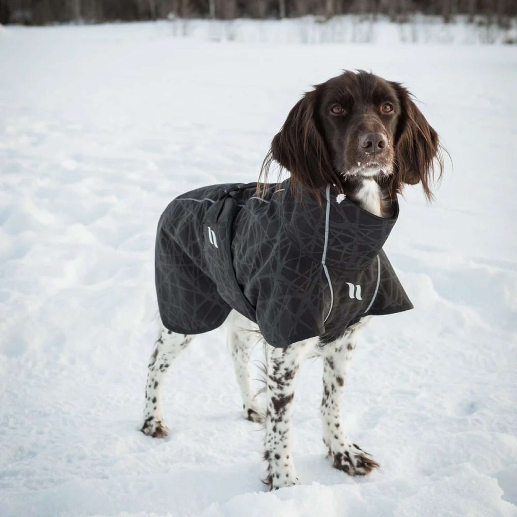 Back on Track Veste pour Chien BARK Noir/Gris