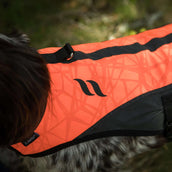 Back on Track Veste pour Chien TRAKK Réfléchissant Orange