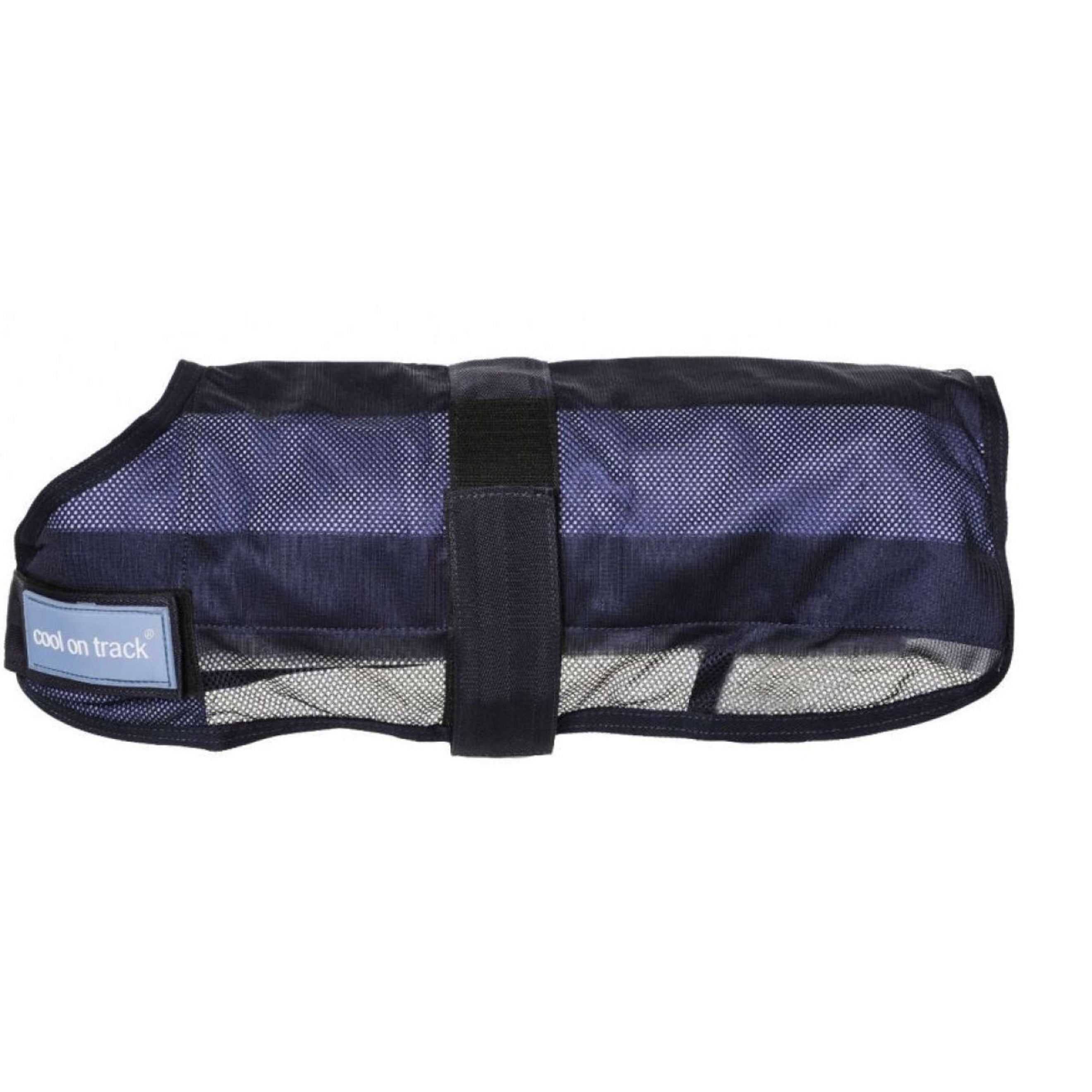 Back on Track Cooling Rug Bleu