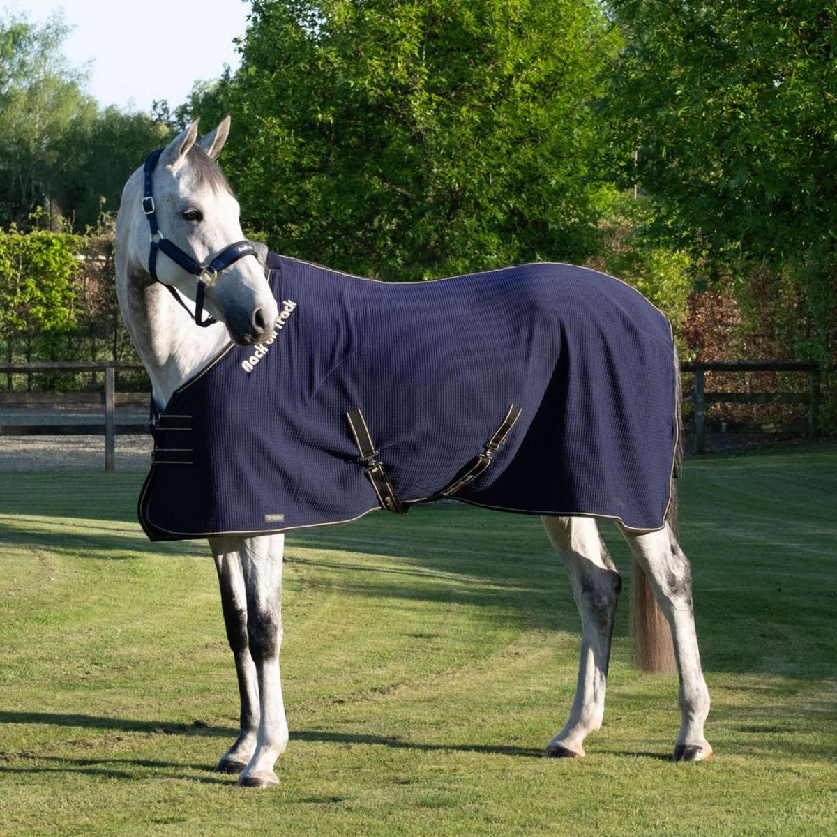 Back On Track Chemise Rafraîchissante Quick Bleu