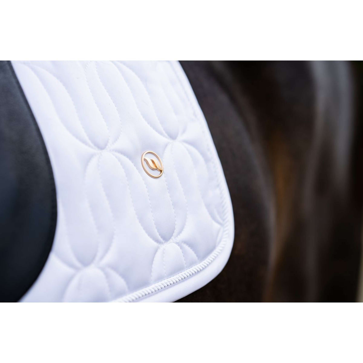 Back on Track Tapis de Selle Deep Nights Dressage Blanc