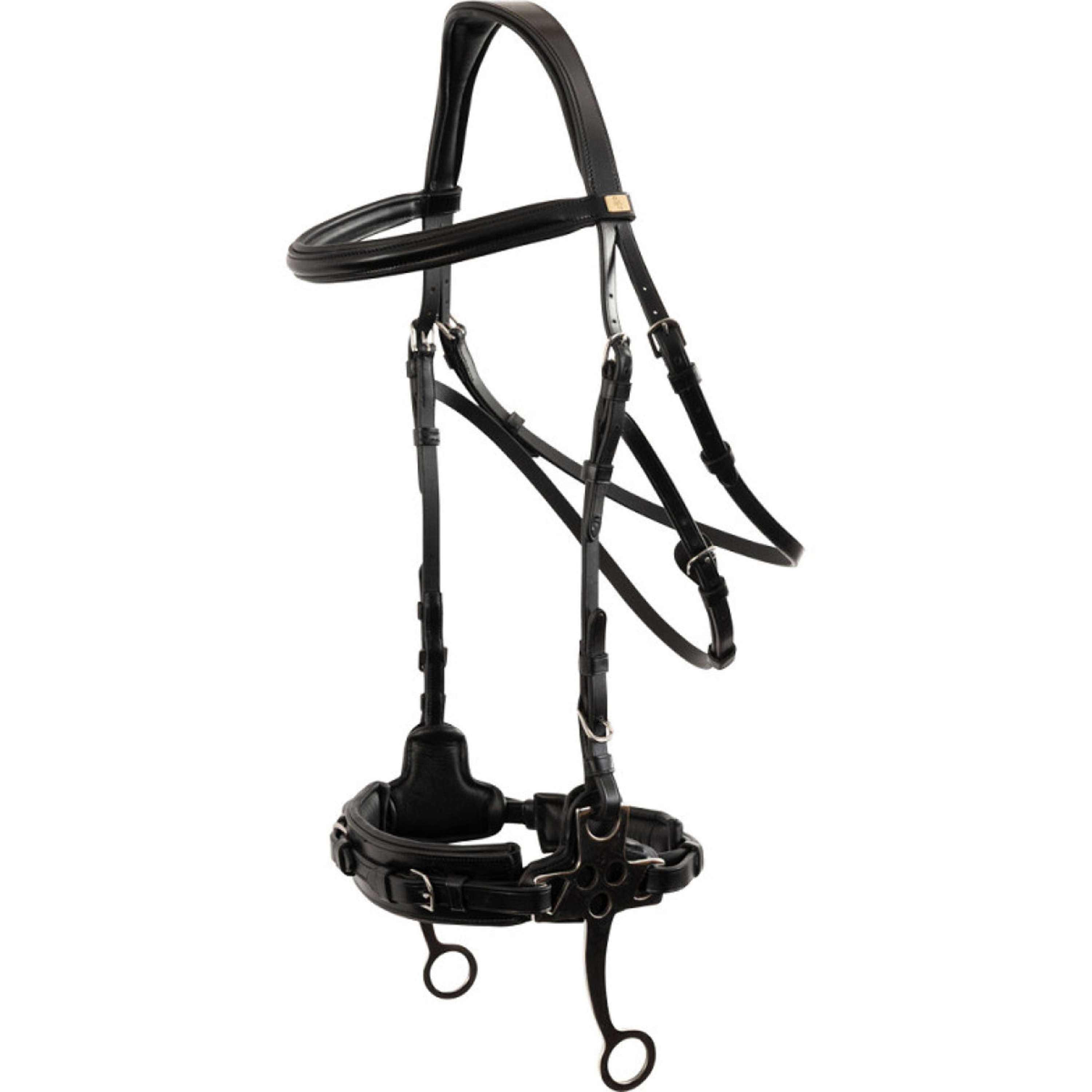 BR Hackamore Thornbury Noir/Argent