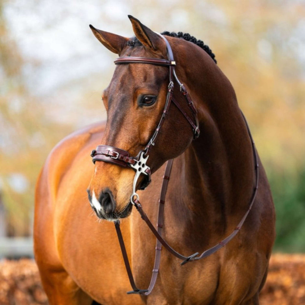 BR Hackamore Thornbury Oak/Silver