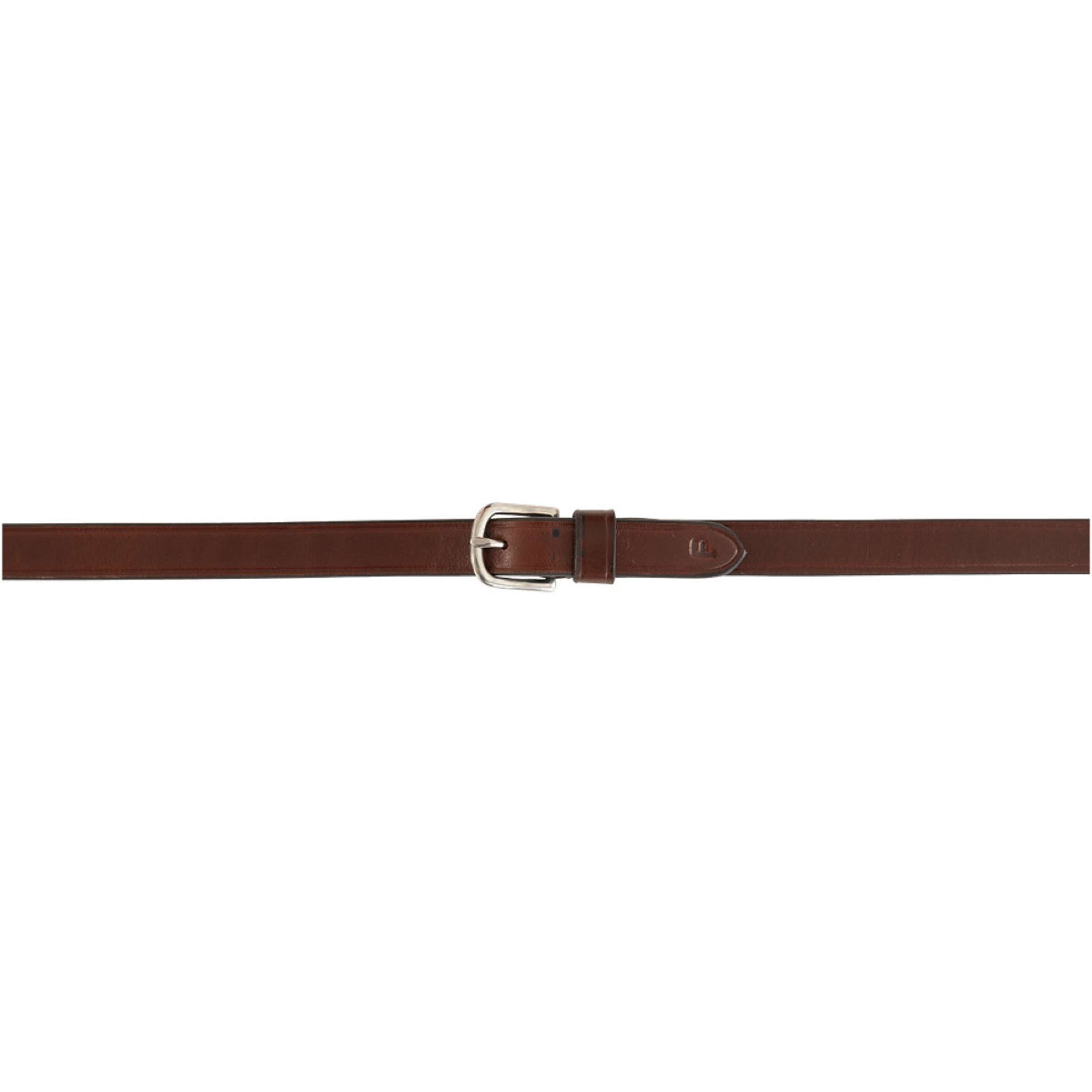 BR Rênes Biothane Cinderford Antidérapant Oak/Silver