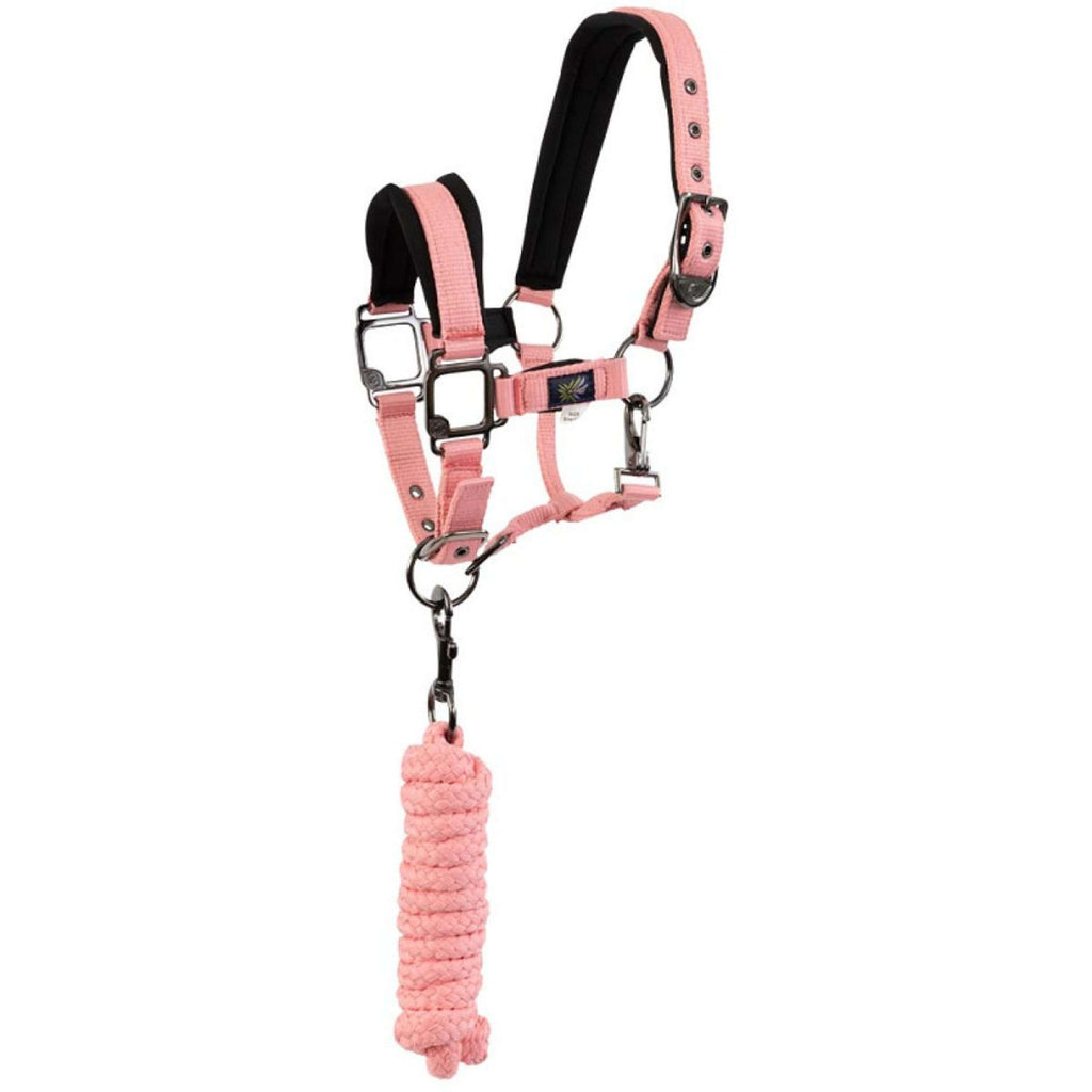 BR Ensemble Licol Mini Horse Peach Blossom