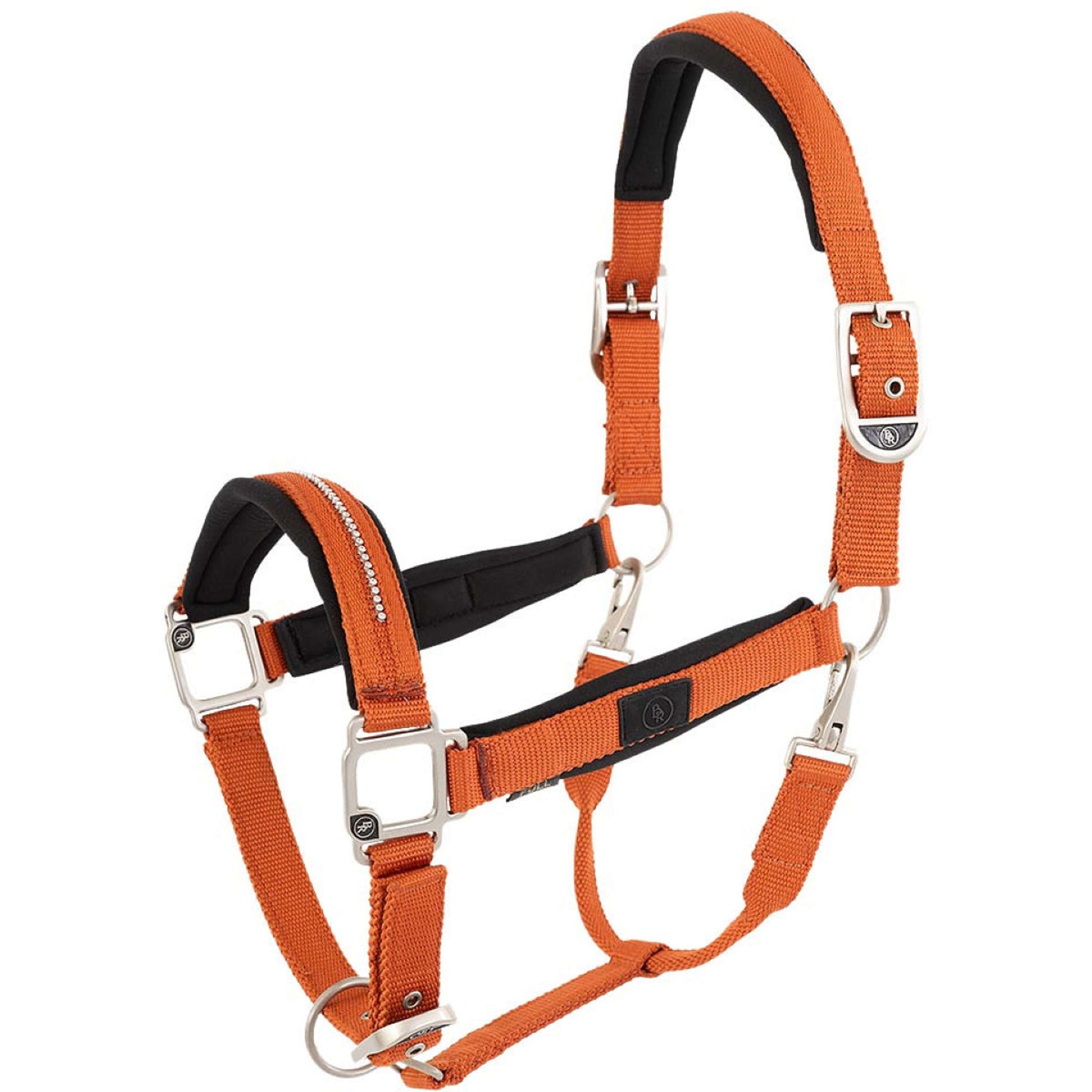 BR Licol Kimberly Néoprène Mecca Orange BR Licol Kimberly Néoprène Mecca Orange