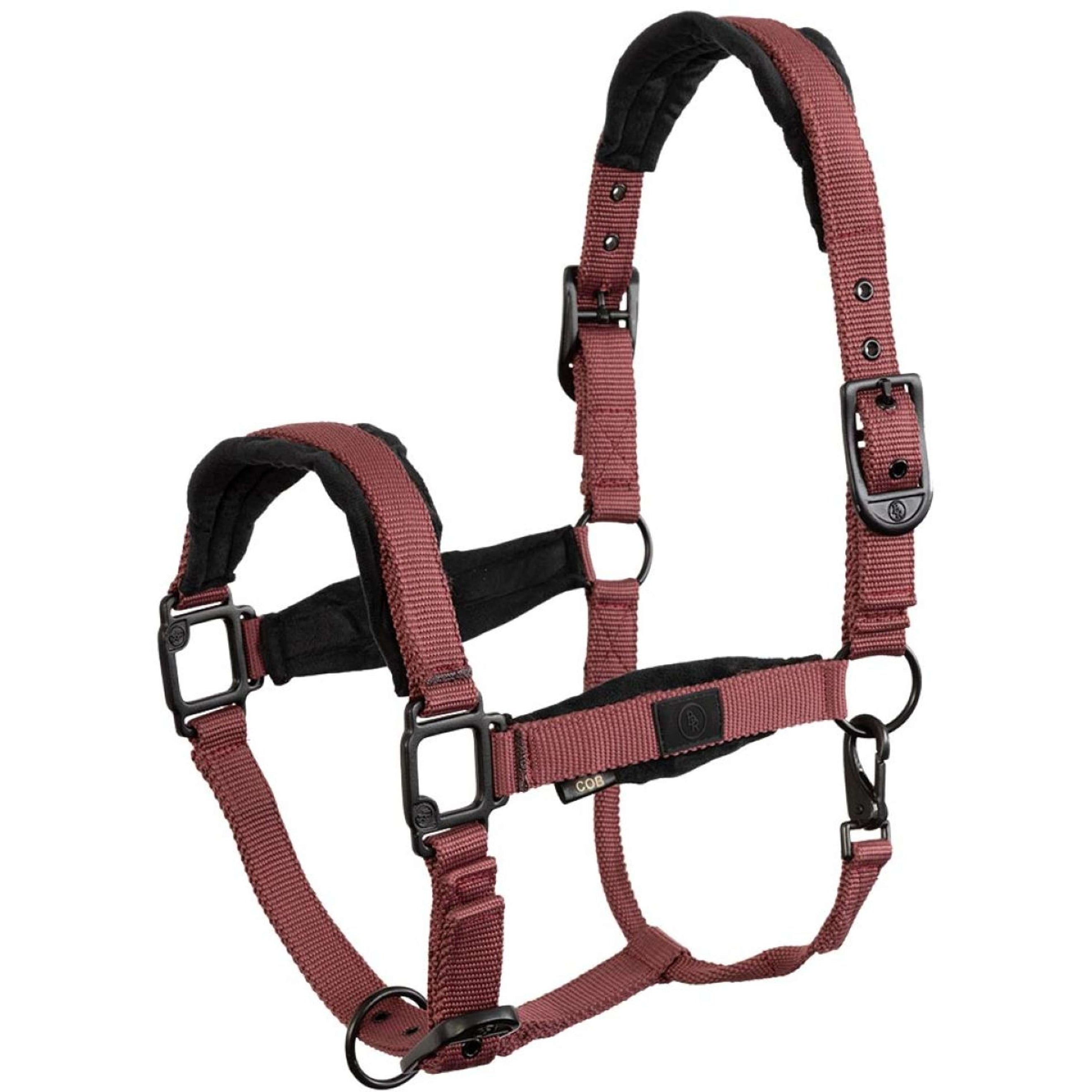 BR Licol Loran Maroon Red BR Licol Loran Maroon Red