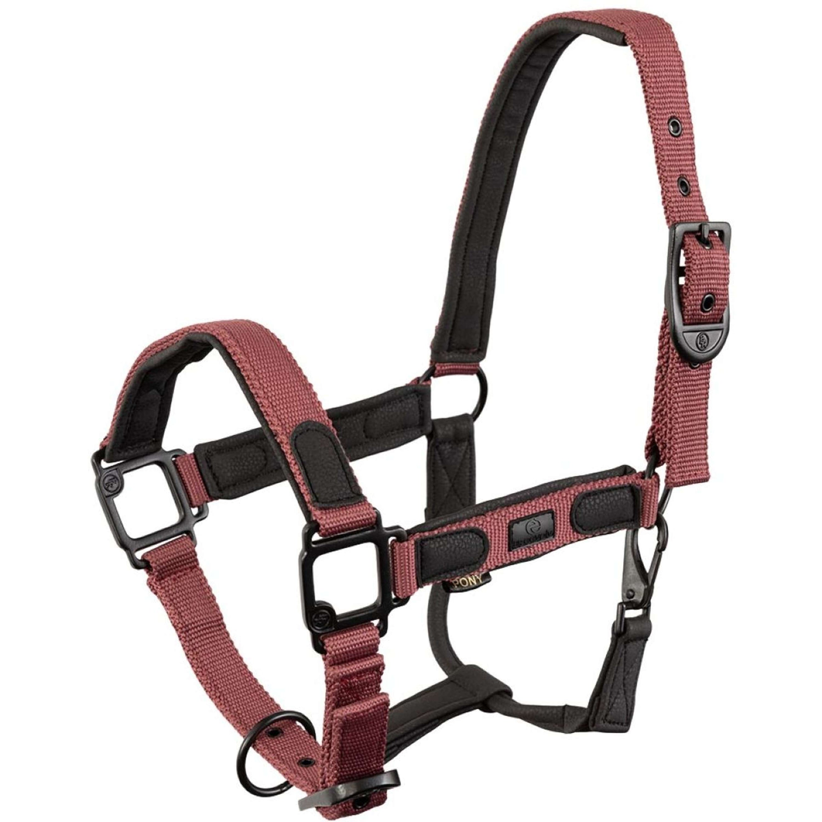 BR Licol Eevolv Laudine Maroon Red BR Licol Eevolv Laudine Maroon Red