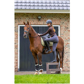 BR Bombe Omega painted noir/chrome