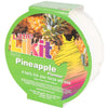 Likit Lickstone Round Pineapple