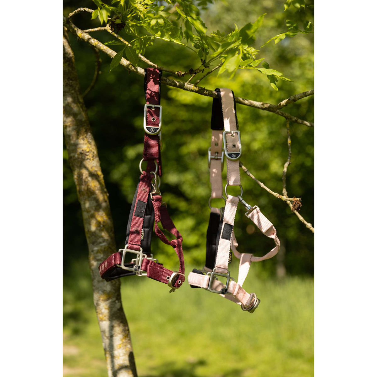 BR Licol Eevolv Karin Lotus