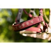 BR Licol Eevolv Karin New Maroon