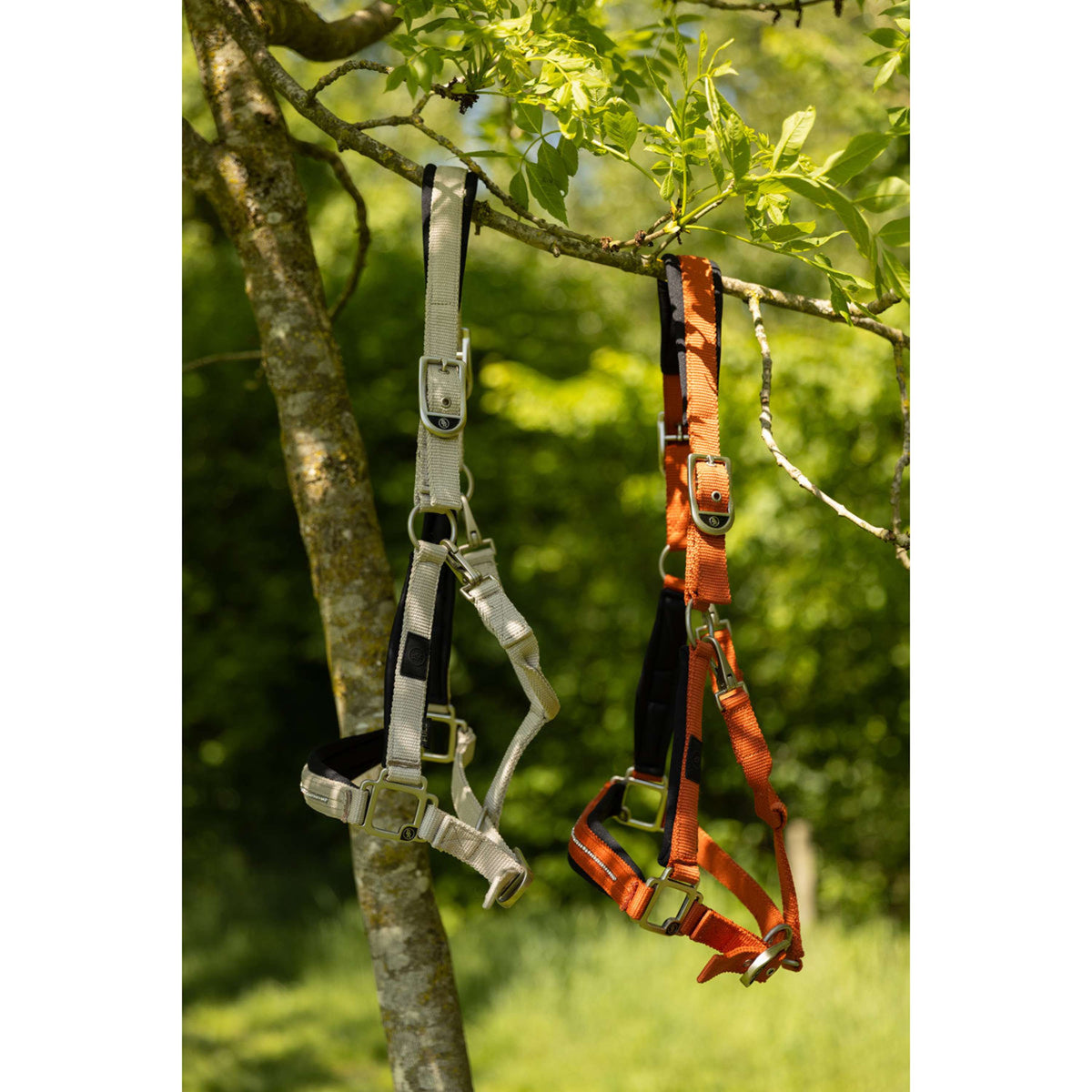 BR Licol Kimberly Néoprène Safari