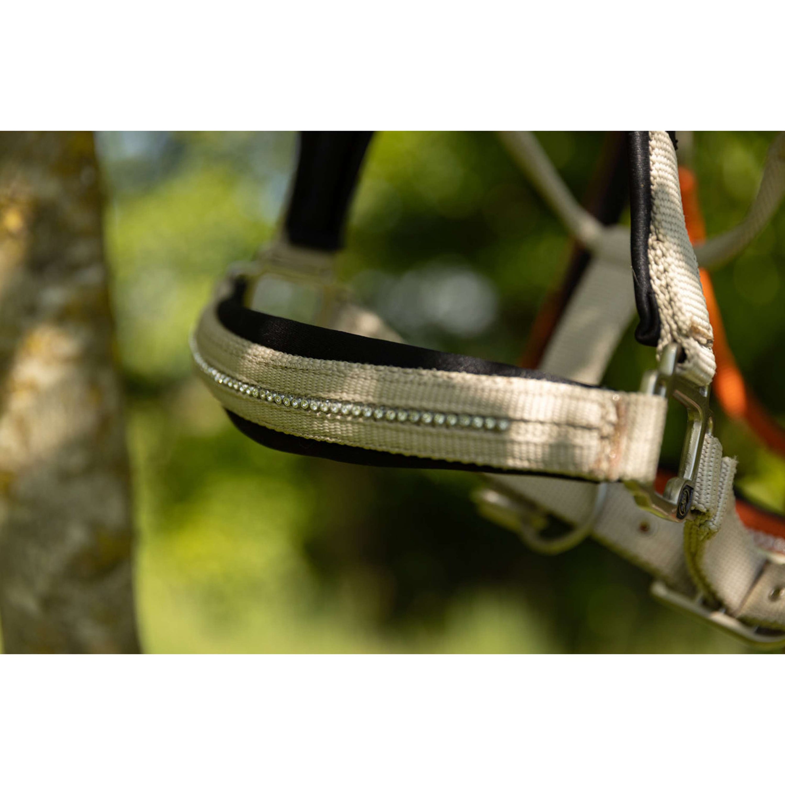 BR Licol Kimberly Néoprène Safari BR Licol Kimberly Néoprène Safari