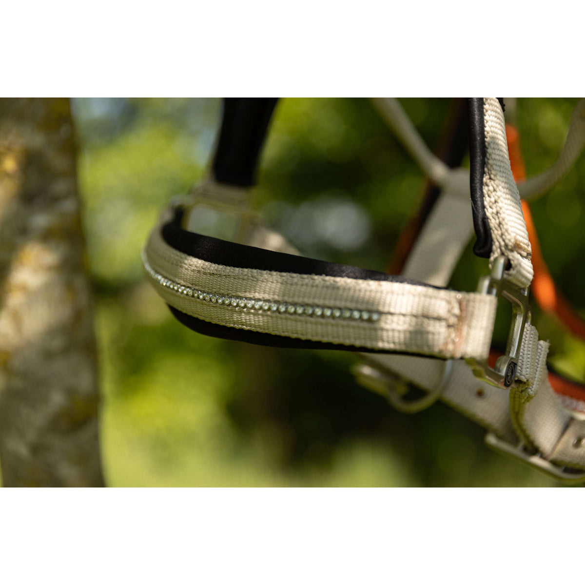 BR Licol Kimberly Néoprène Safari