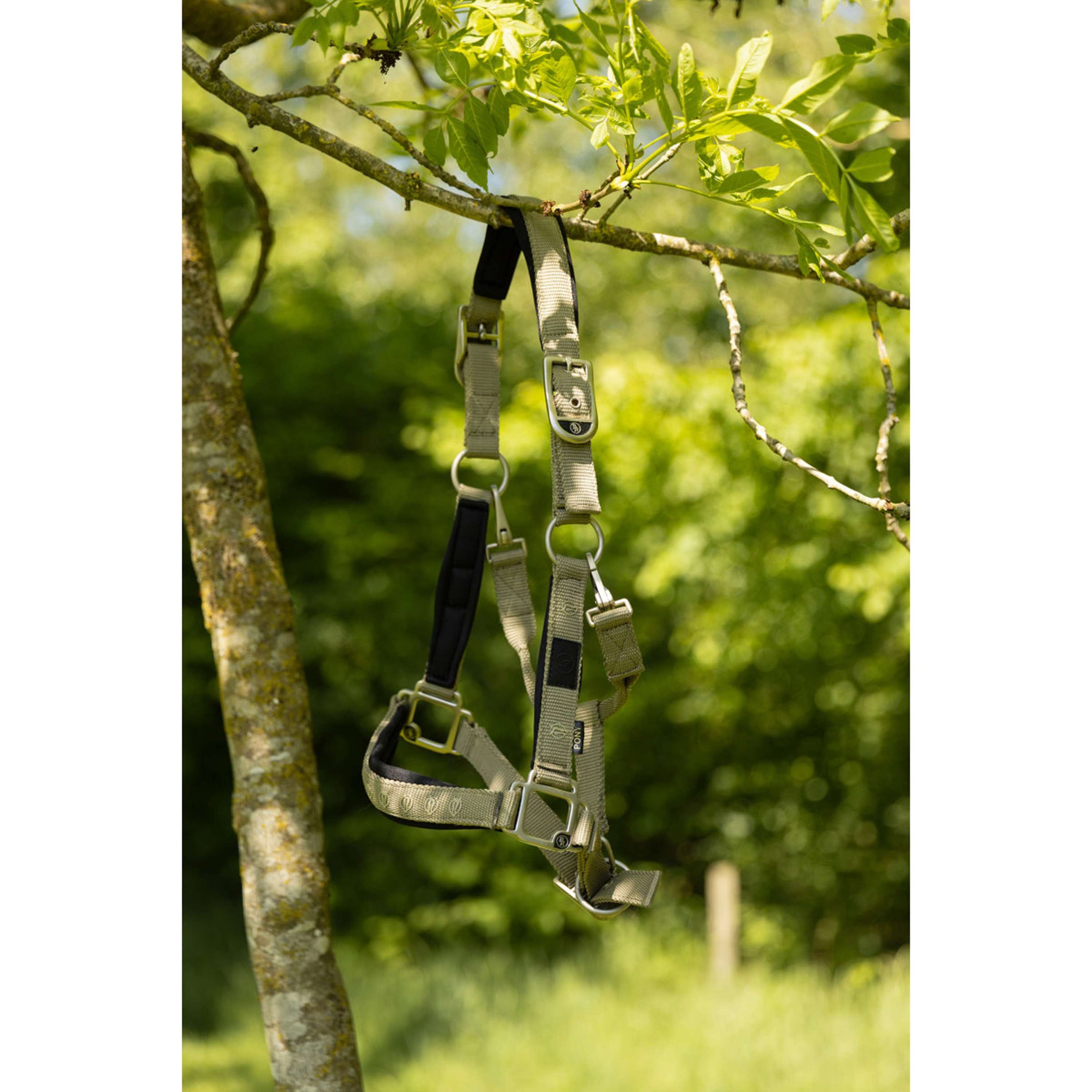 BR Licol Eevolv Karin Mermaid