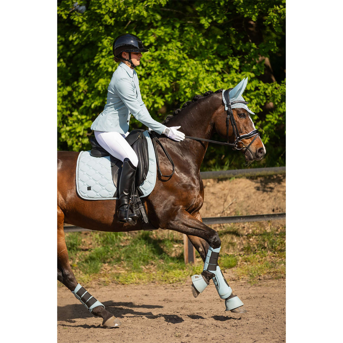 BR Dressage Boots Majestic Kamilla Tourmaline