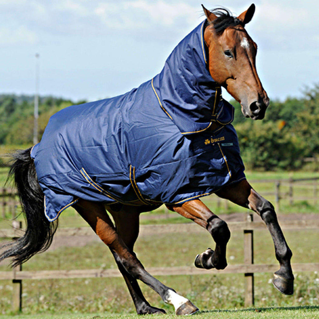 Bucas Couvre-Cou Irish Turnout Combi Neck 50g Marine/Or