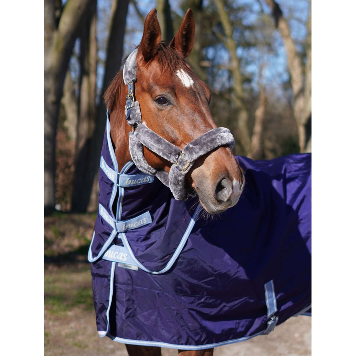 Bucas Atlantic Exclusive avec Couvre-cou Marine/Bleu