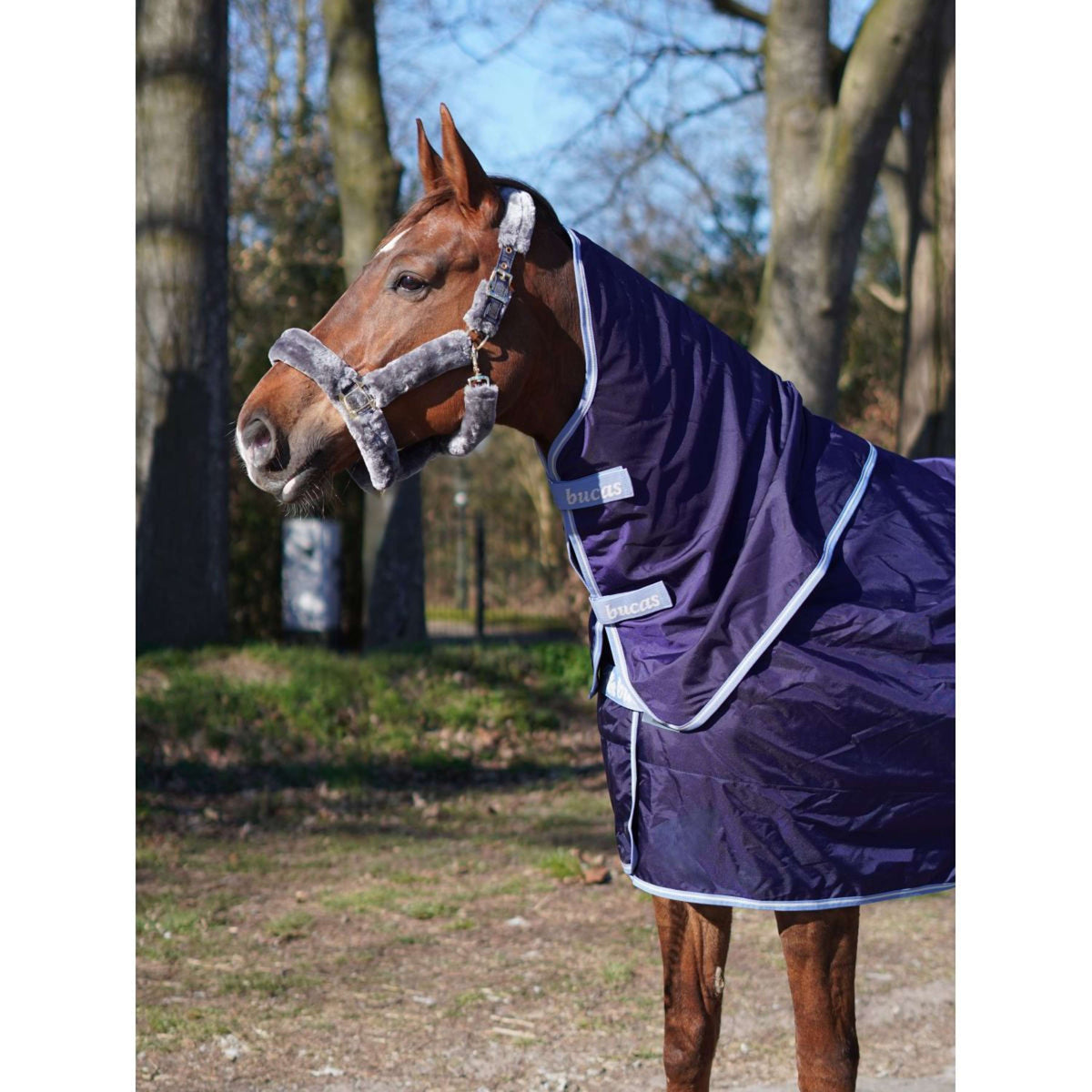 Bucas Atlantic Exclusive avec Couvre-cou Marine/Bleu