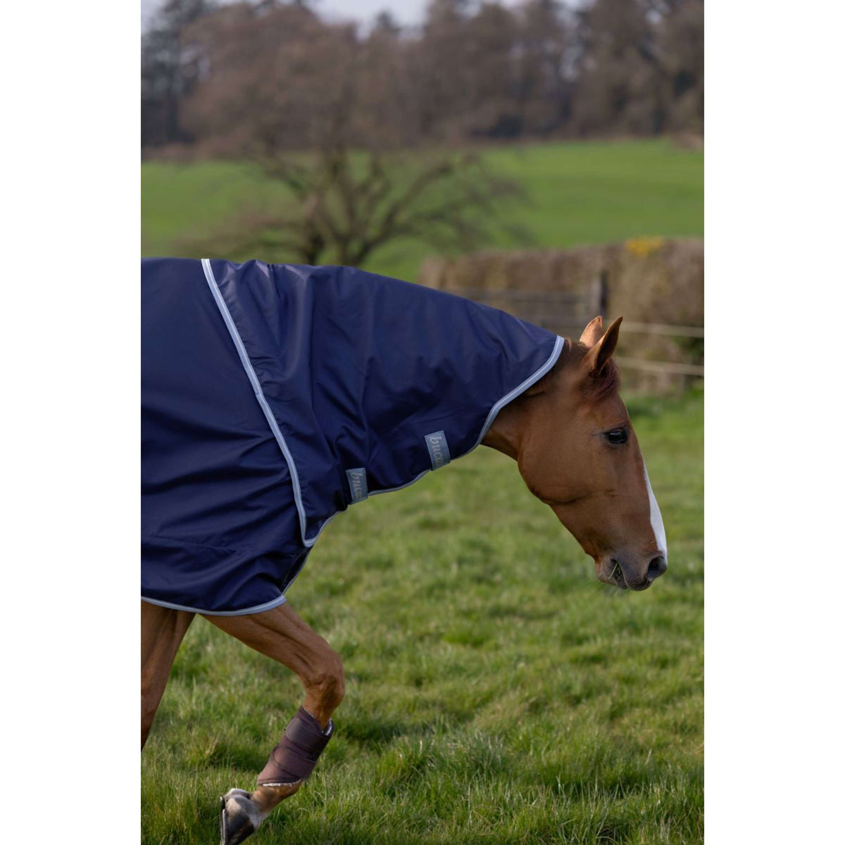 Bucas Atlantic Exclusive avec Couvre-cou Marine/Bleu