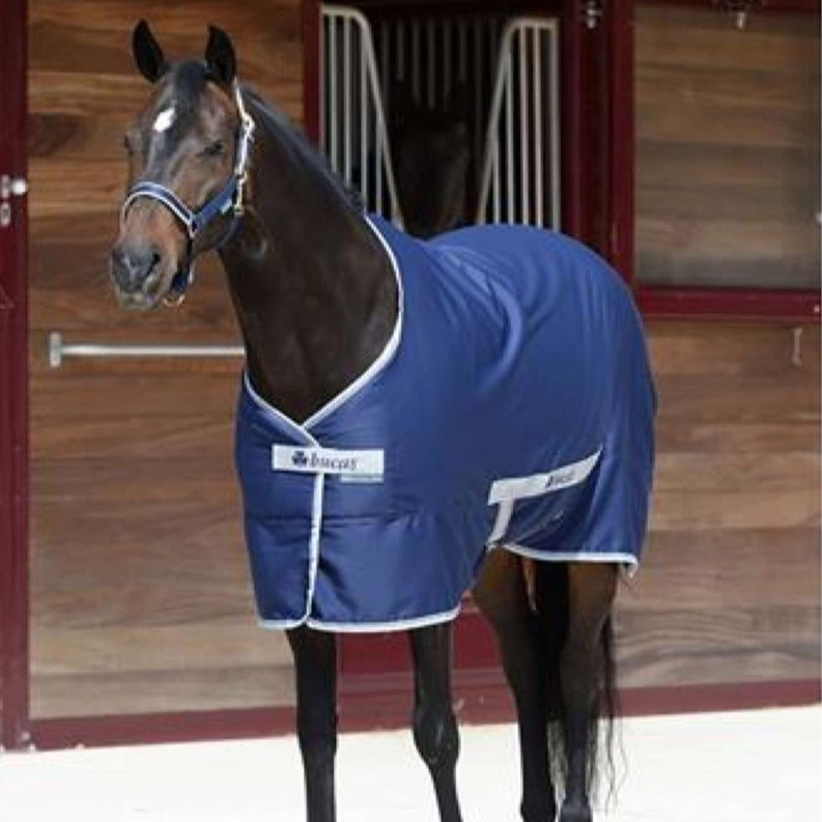 Bucas Twill Sheet Freedom 0g Marin Bucas Twill Sheet Freedom 0g Marin