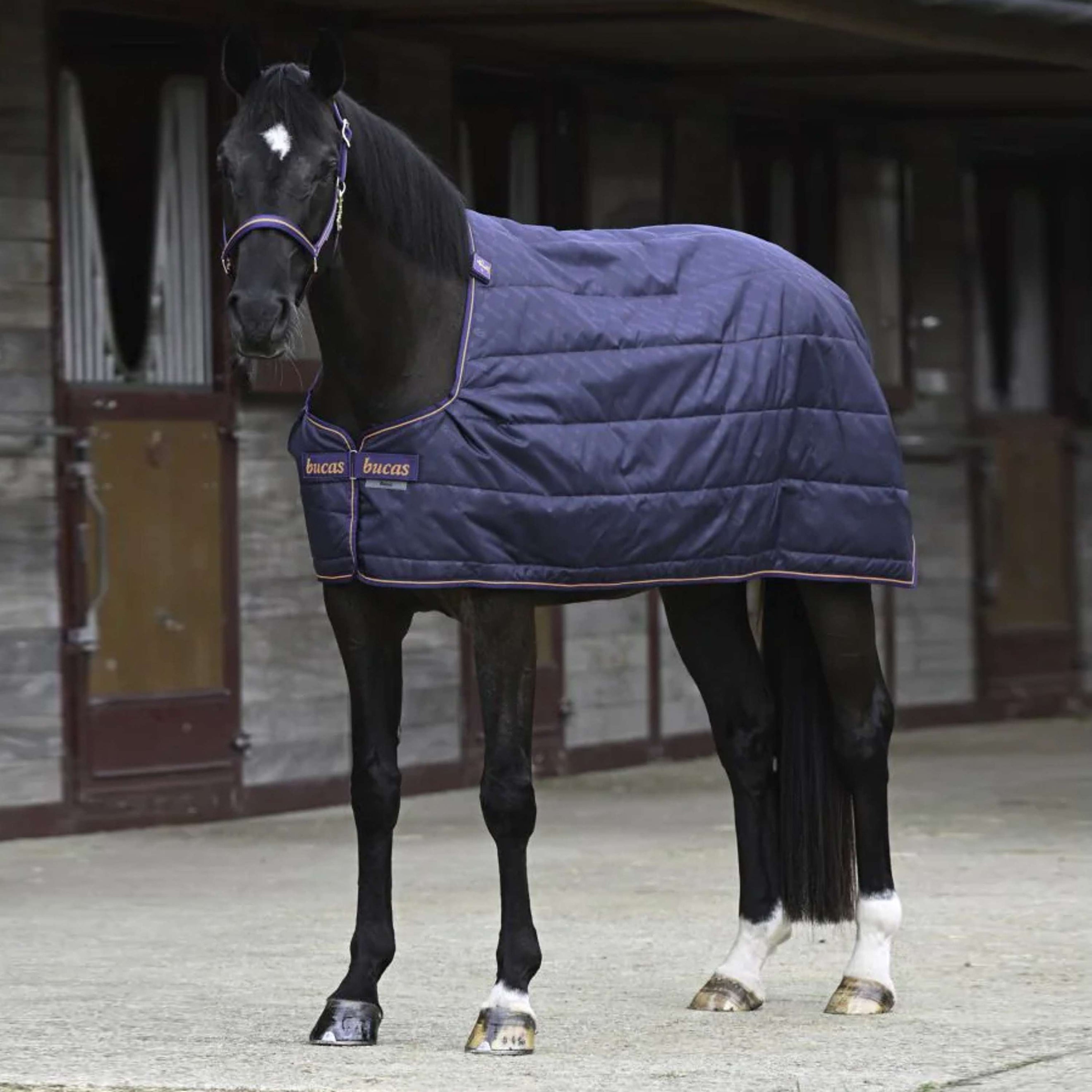 Bucas Therapy Liner Bleu Marine/Orange Bucas Therapy Liner Bleu Marine/Orange