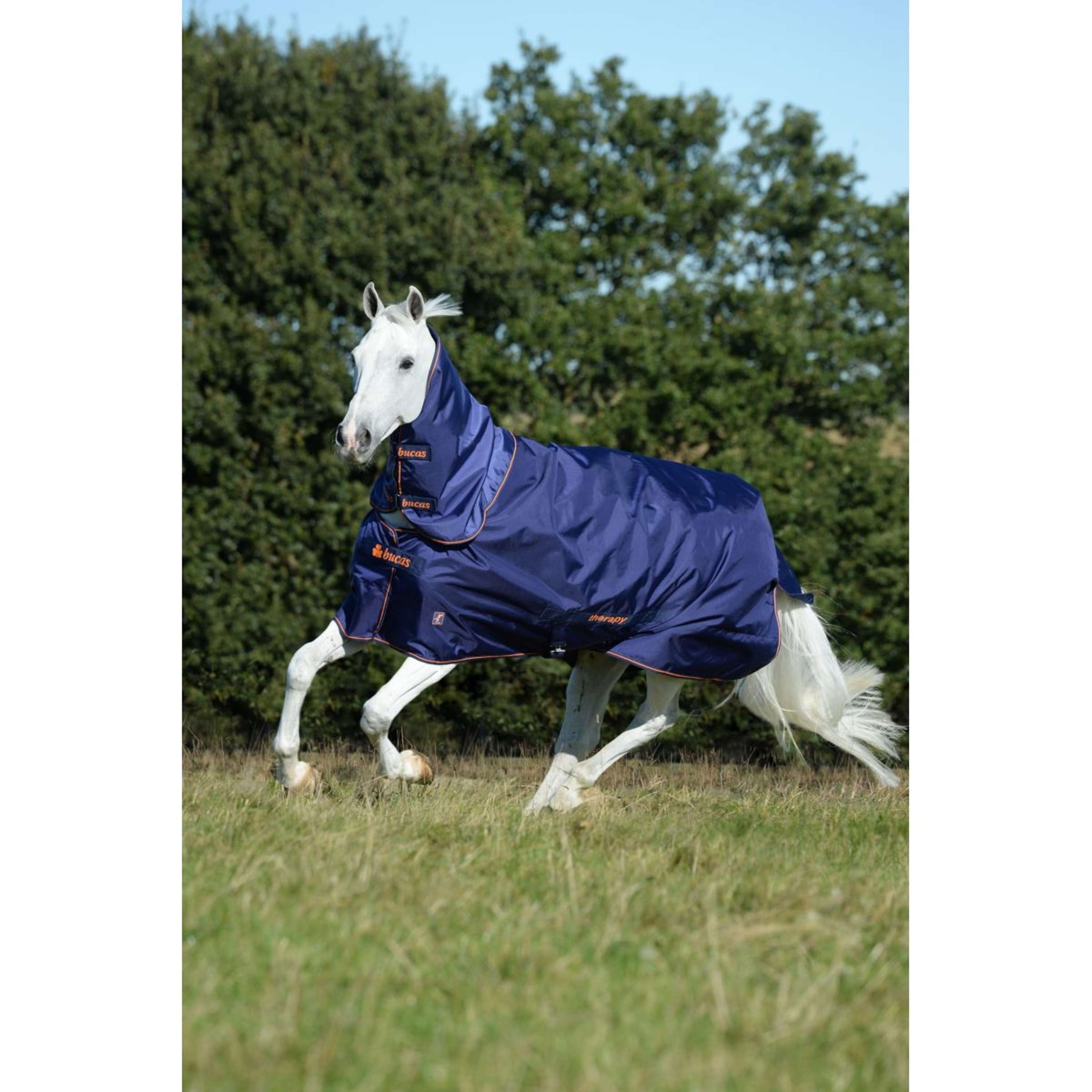 Bucas Therapy Turnout Neck Bleu Marine/Orange Bucas Therapy Turnout Neck Bleu Marine/Orange