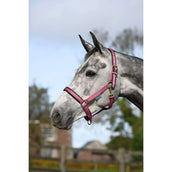 Bucas Licol Dublin Poulain Framboise